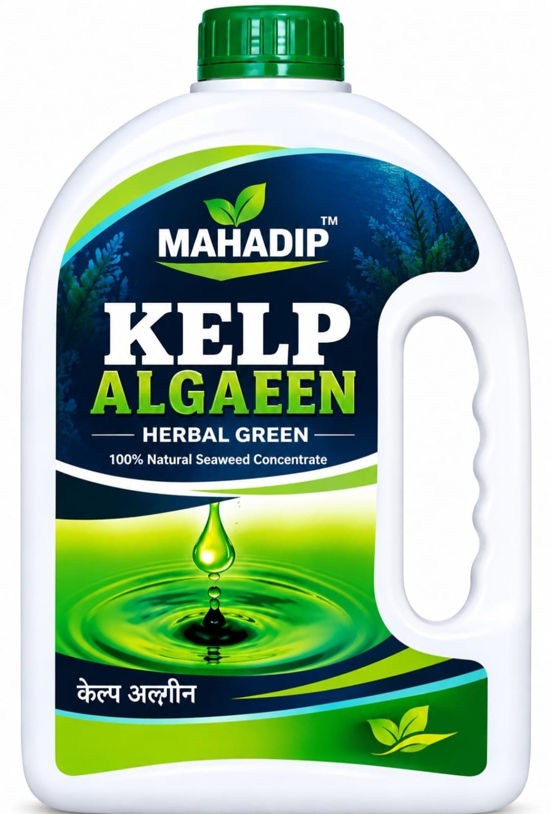 Mahadip Kelp Algaeen (केल्प अल्गीन)