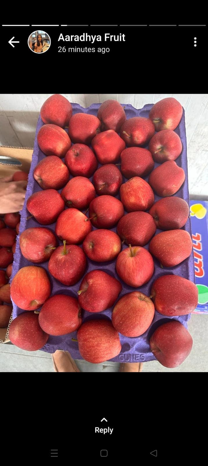 Fresh Crisp Mountain Apples