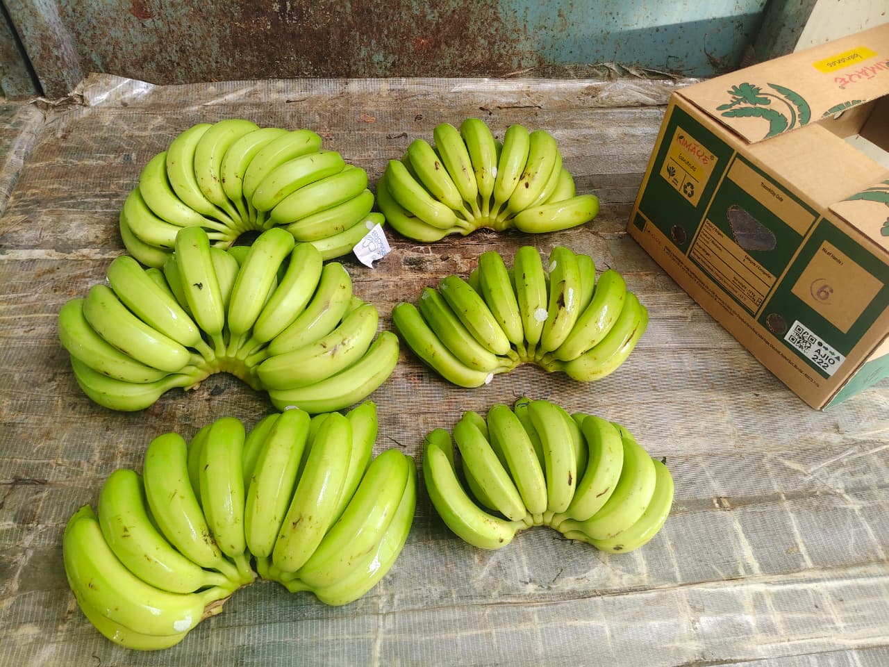 Fresh Cavendish Bananas
