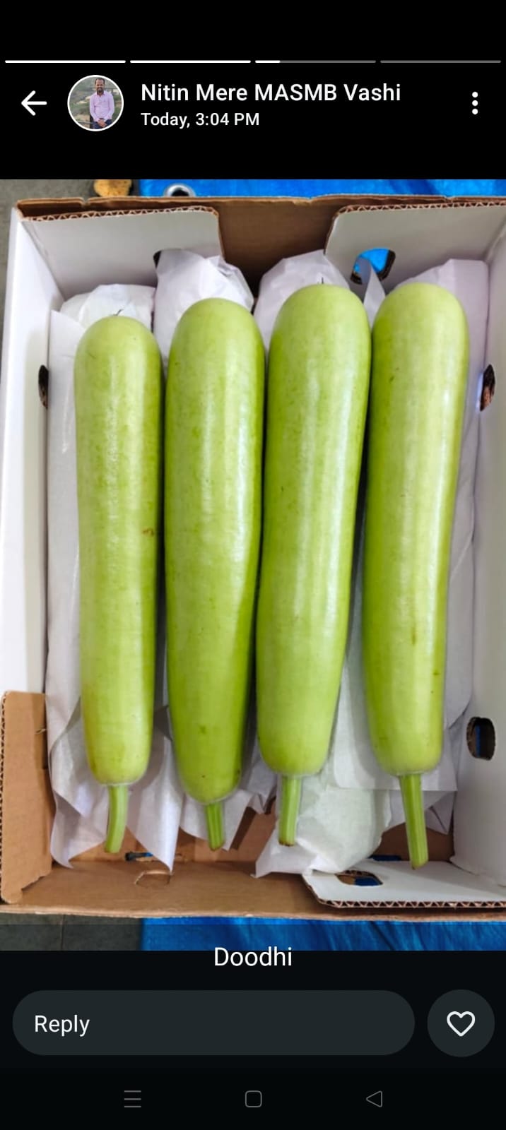 Bottle Gourd (Dudhi Bhopla)
