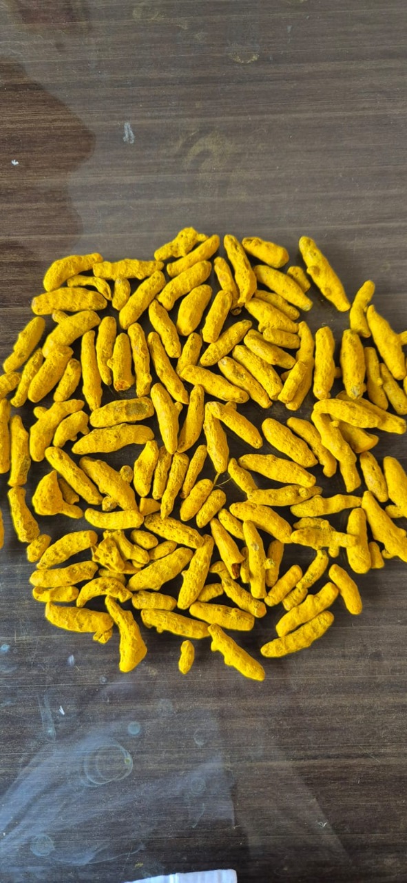 Pure Salem Turmeric